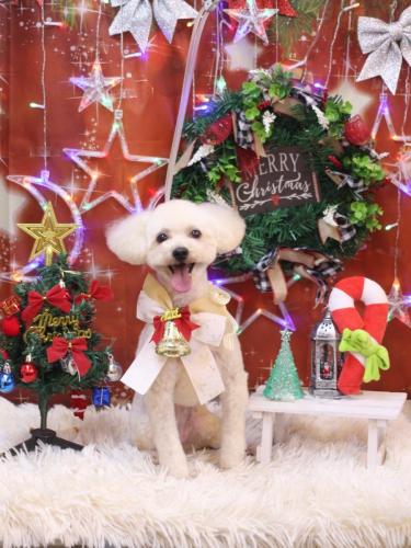 20231216心音ちゃん